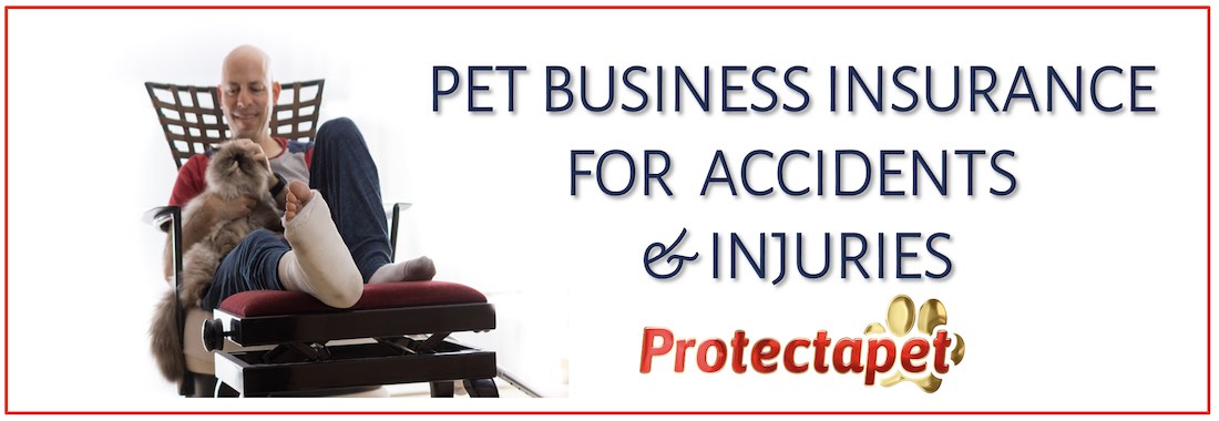 Man sitting in a wheelchair with his dog advertising the pet business insurance for accidents and injuries by Protectapet